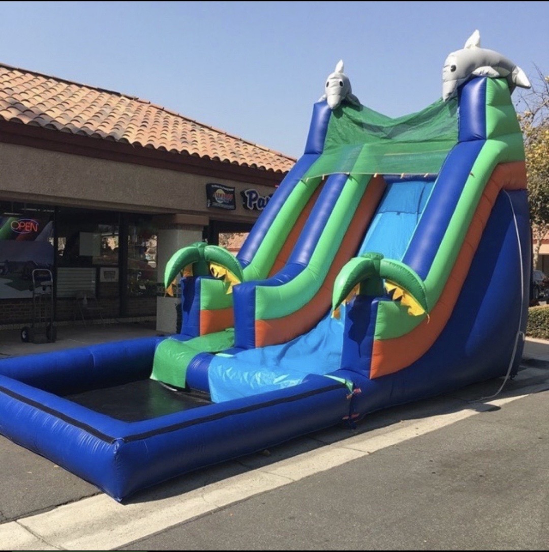DOLPHIN WATERSLIDE(1)